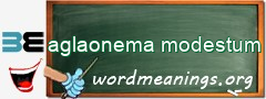 WordMeaning blackboard for aglaonema modestum